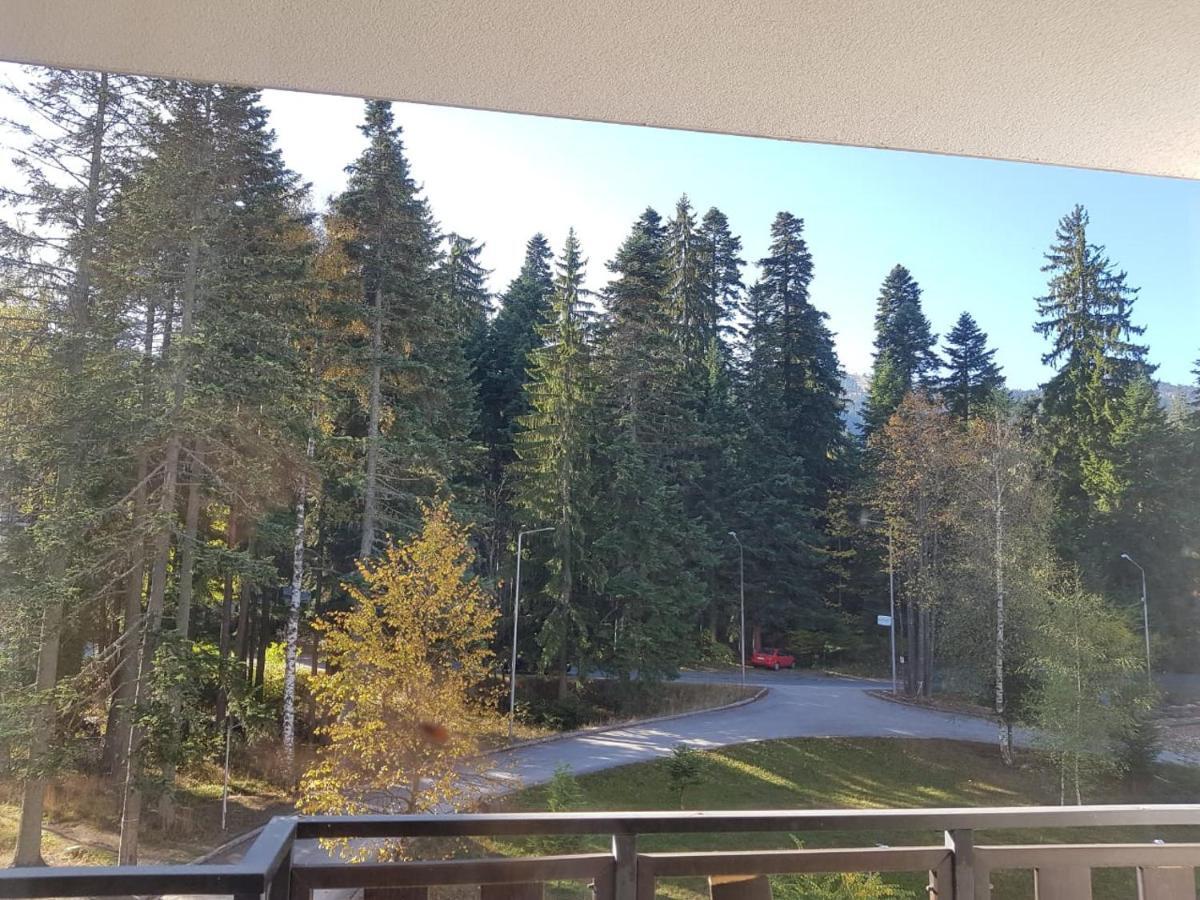 Apartments In Borovets Gardens Exterior photo